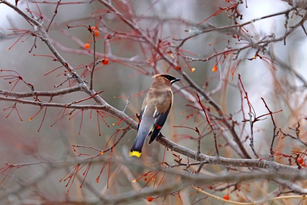 Life Is Good by Deb Oppermann